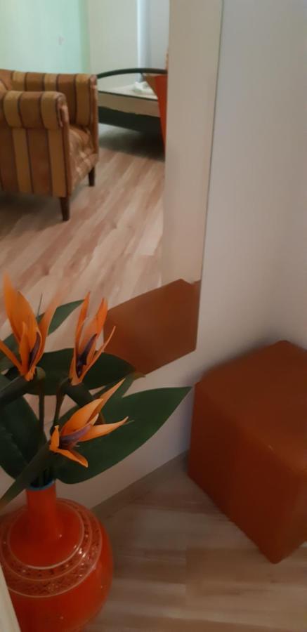 Apartments Olivia พูลา ภายนอก รูปภาพ